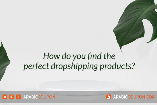 How do you find the perfect dropshipping products - Shopping & ecommerce News