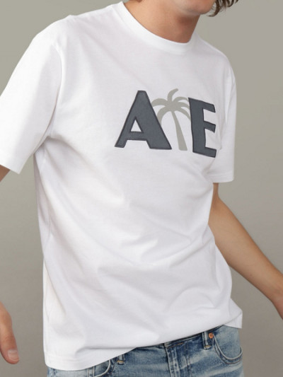 62% off American Eagle Logo T-Shirt with Palm Tree for Black Friday