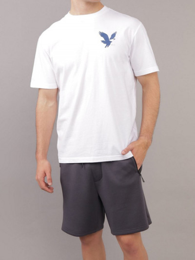 Get American Eagle Logo Print T-Shirt with 77% OFF