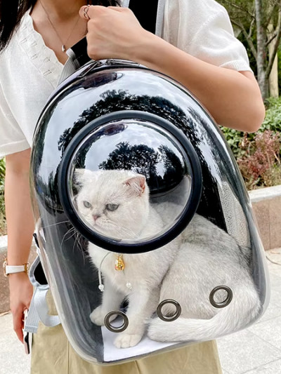 Save 66% on Cat Carrier Bag from Aliexpress